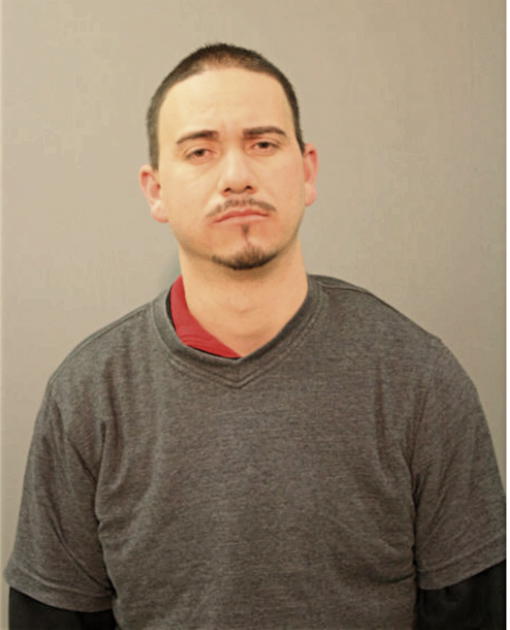 NELSON SOIZ-VIDAL, Cook County, Illinois
