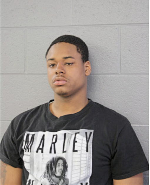 SHANDELL P WILSON, Cook County, Illinois