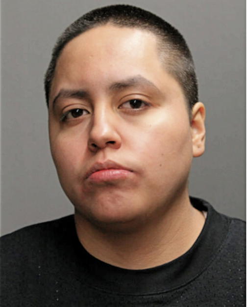 STEPHANIE ACOSTA, Cook County, Illinois