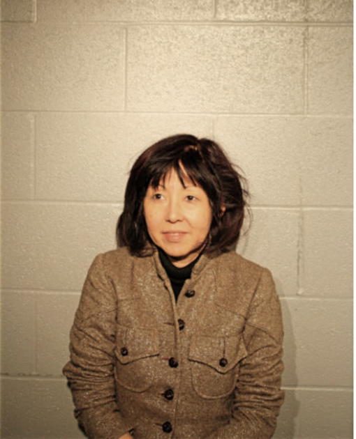 DIANE K ADREANI, Cook County, Illinois