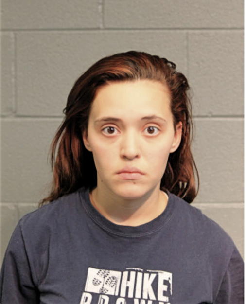 KELLI M BRINNEHL, Cook County, Illinois