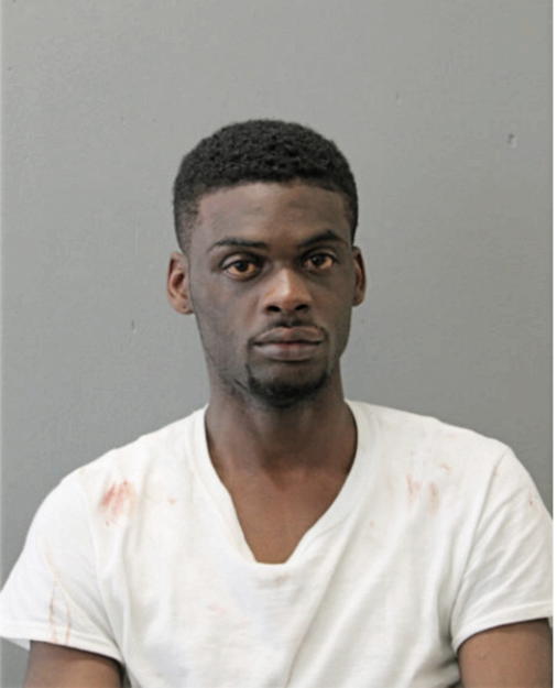 MICHAEL S CEASER, Cook County, Illinois