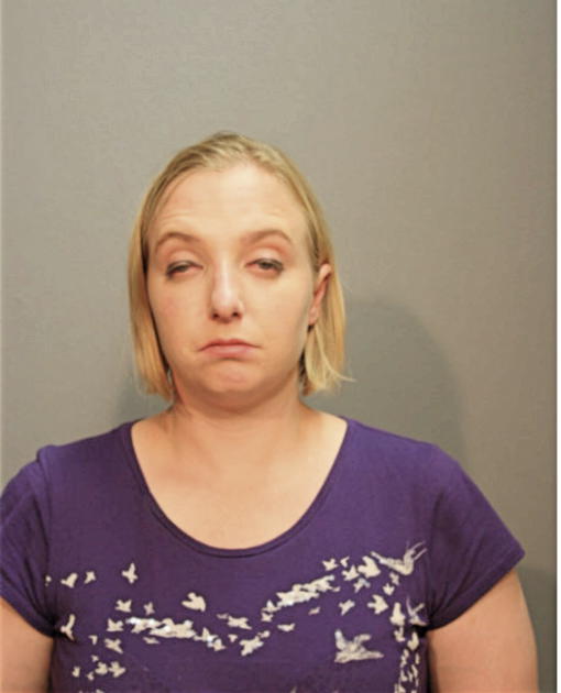 KERRIN L FLEMING, Cook County, Illinois