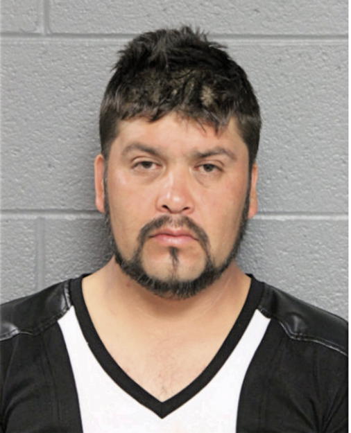 MARCO ANTONIO GARCIA-GONZALEZ, Cook County, Illinois