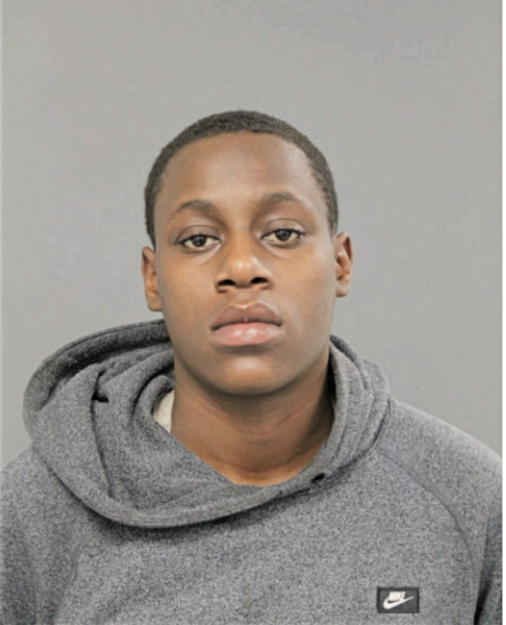 BRITTANY L JACKSON, Cook County, Illinois
