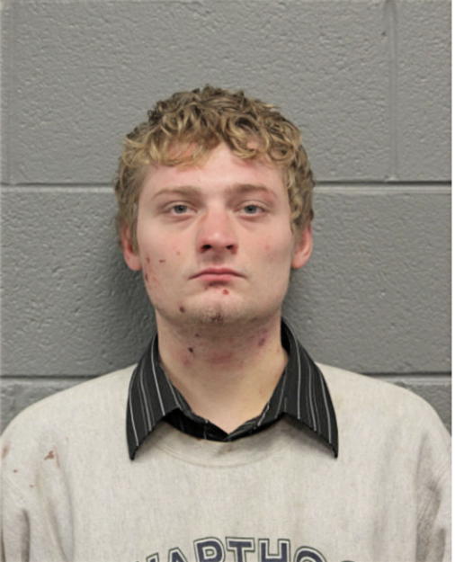 ARTEM KOZAKEVICH, Cook County, Illinois