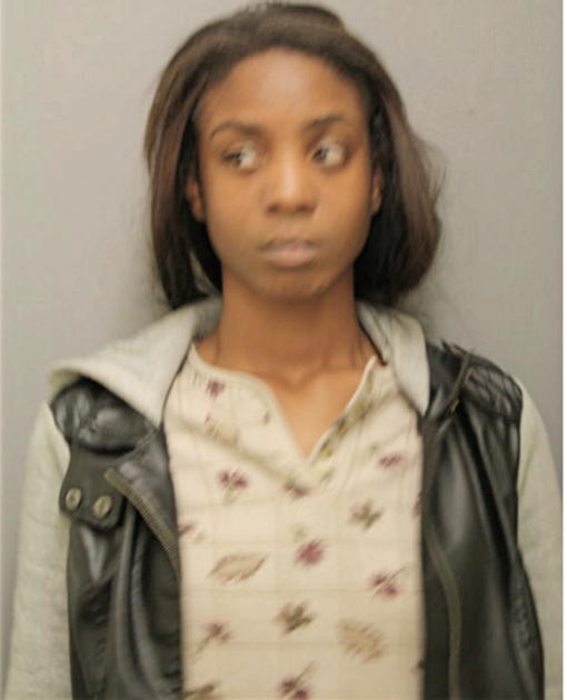AMY P LEE, Cook County, Illinois