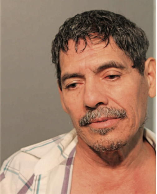 PATRICIO LEIVA-CEBRERO, Cook County, Illinois