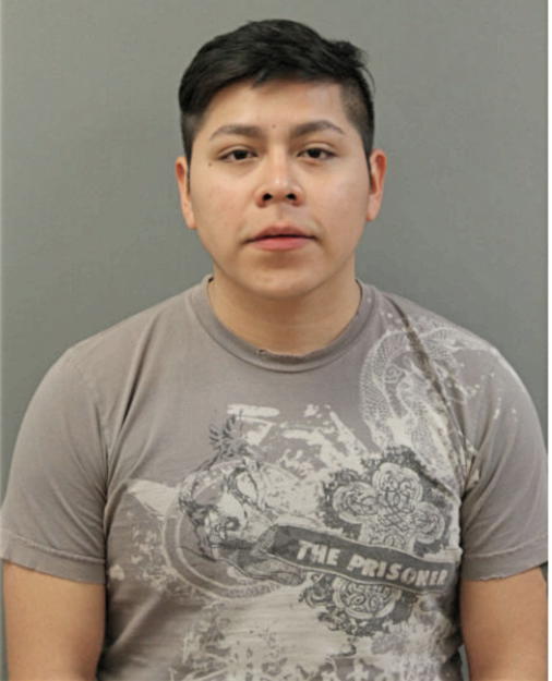 ALEXIS NAVARRETE, Cook County, Illinois