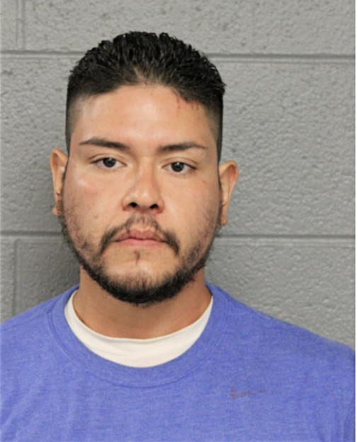 MIGUEL D NINO, Cook County, Illinois