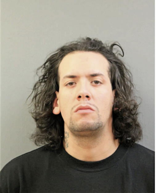 DAVID M NUNEZ, Cook County, Illinois