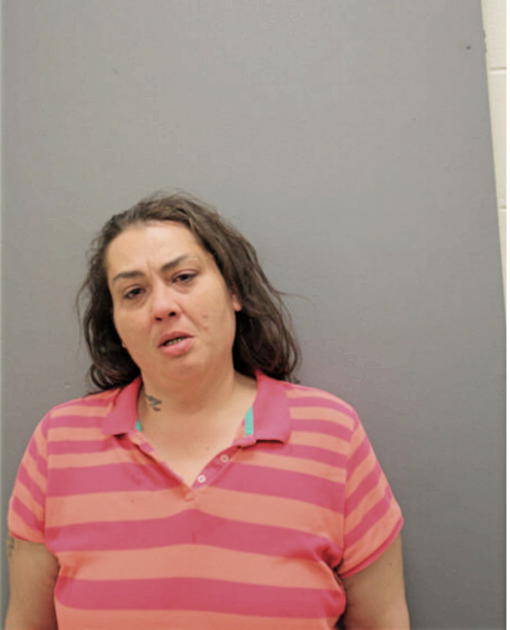 JANET L NUNN, Cook County, Illinois