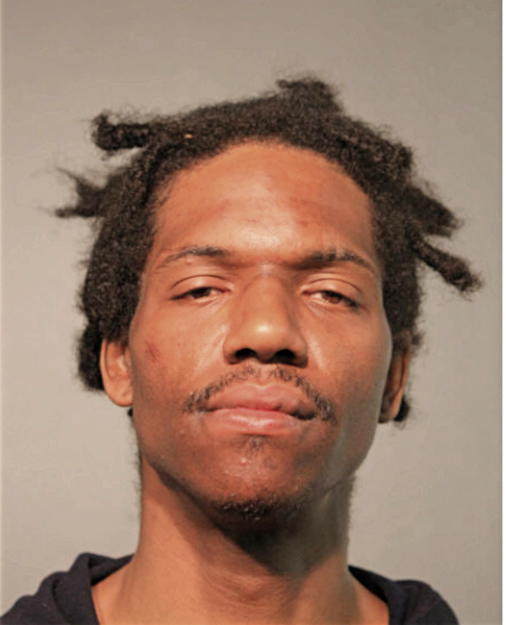 JERRY S ROBINSON, Cook County, Illinois