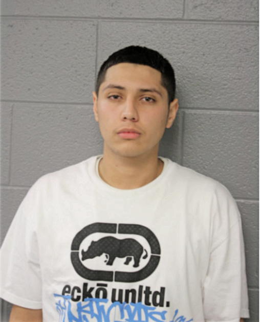 BRANDON RUIZ, Cook County, Illinois