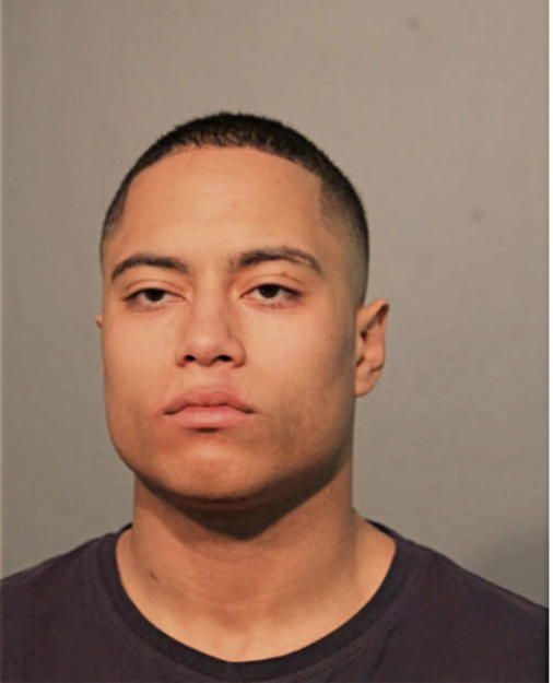 ANTHONY A SCHLEICHER, Cook County, Illinois