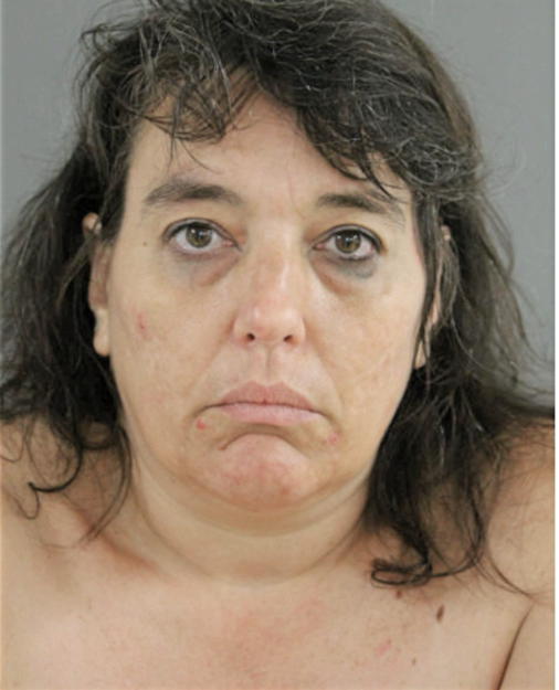 HEIDI E SCHMIDT, Cook County, Illinois