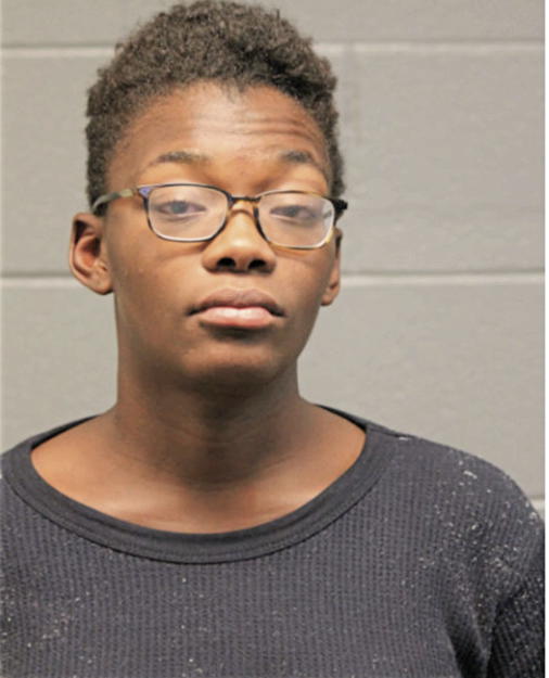 MECHELE M STYLES, Cook County, Illinois