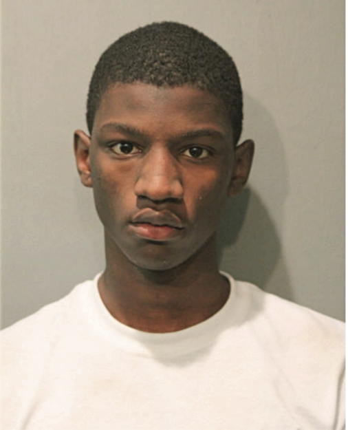 TYLER J TURNER, Cook County, Illinois