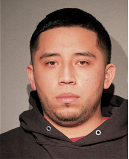 MANUEL F ACEVEDO, Cook County, Illinois