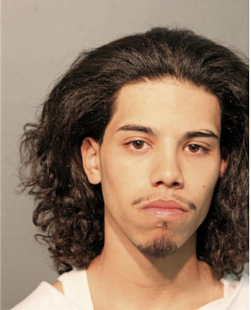 ANTHONY L ALVARADO, Cook County, Illinois