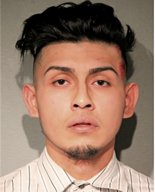 MISHAEL CISNEROS, Cook County, Illinois