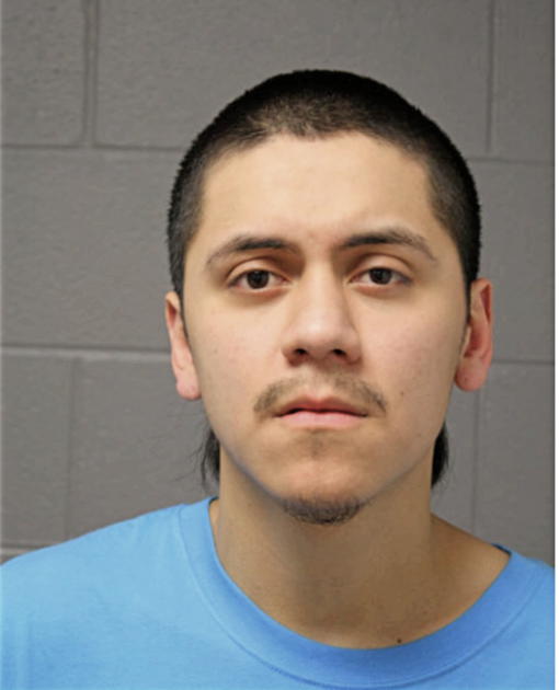 CESAR FUERTE, Cook County, Illinois