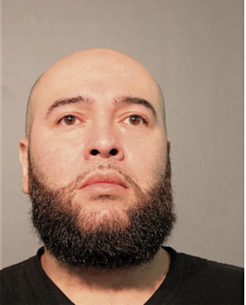 LOUIS GONZALEZ, Cook County, Illinois