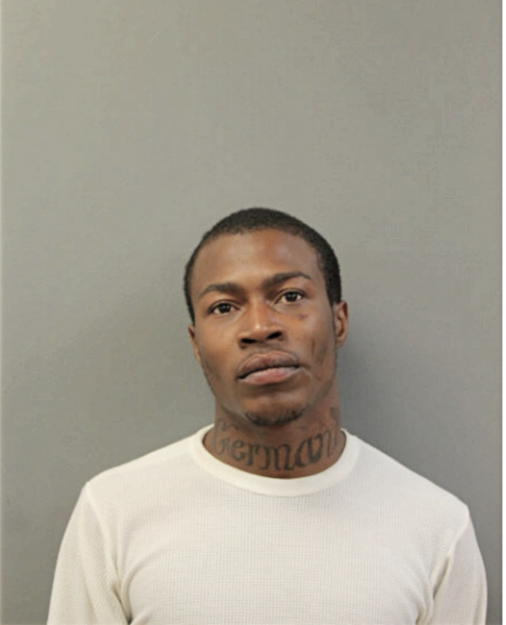 GENE W HENDERSON, Cook County, Illinois