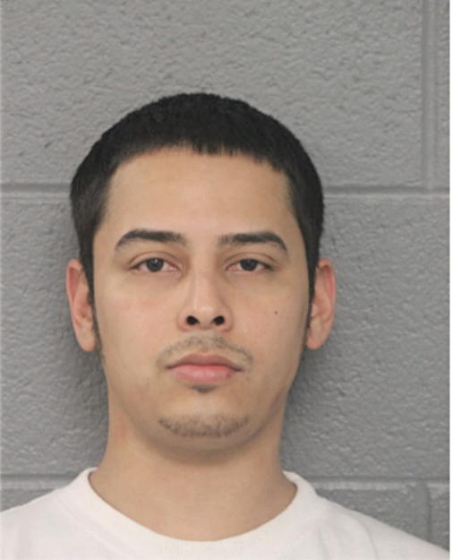 LUIS I HUERTA, Cook County, Illinois