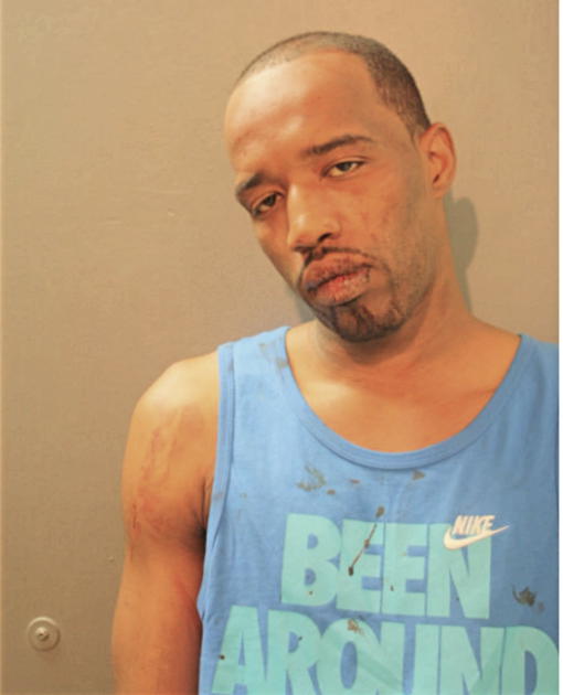 TIMOTHY A JOHNSON, Cook County, Illinois