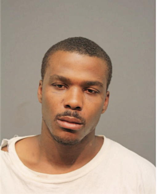 CLARENCE T LANG, Cook County, Illinois