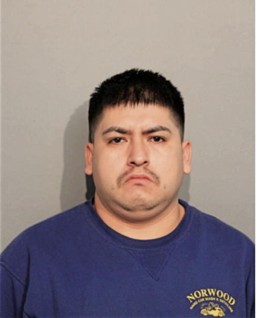 APOLINAR LEDESMA-BILLEDA, Cook County, Illinois