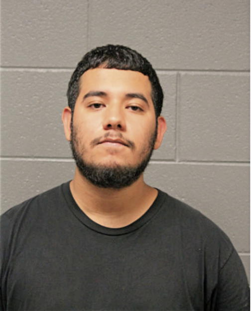 MAURICIO LEON, Cook County, Illinois