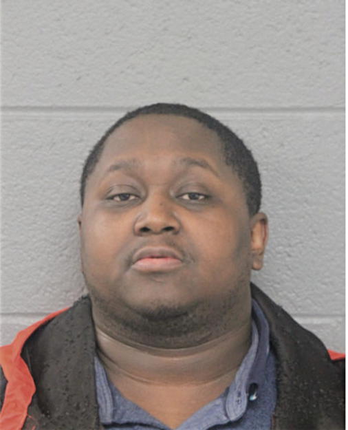 ANDREW D LOWE, Cook County, Illinois
