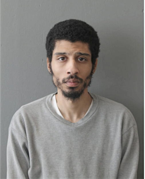 DWANE F NELSON, Cook County, Illinois