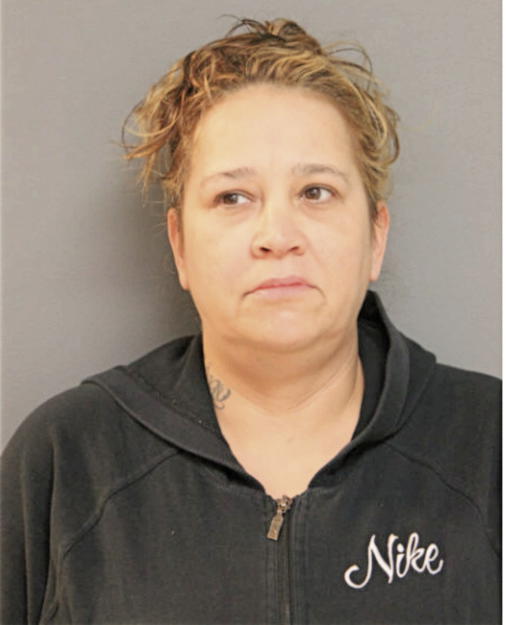 PAULA A ORTIZ, Cook County, Illinois