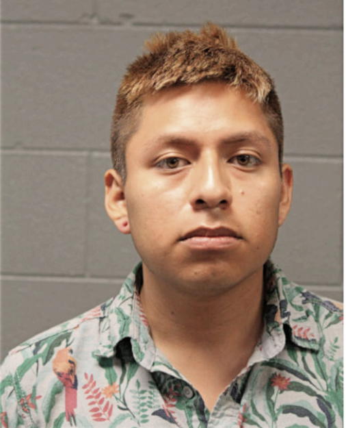 GABRIEL PORTILLO, Cook County, Illinois