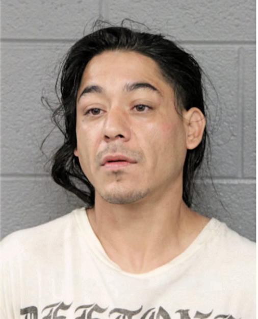ERNESTO STEVEN SALGADO, Cook County, Illinois
