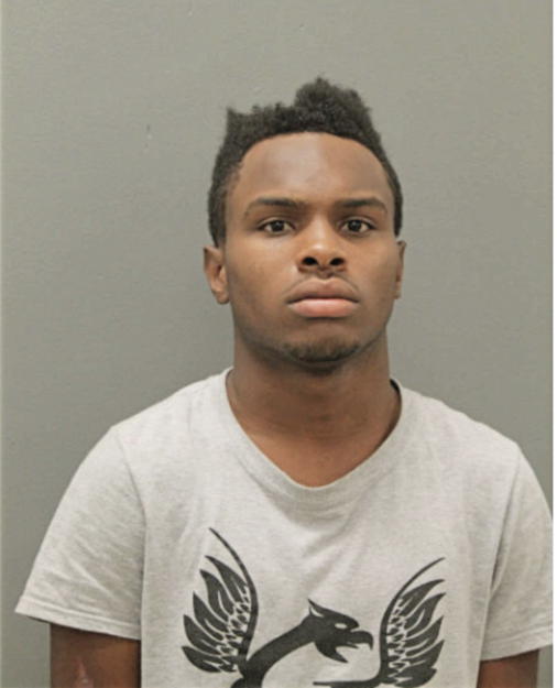 JAVON I STINGLEY, Cook County, Illinois