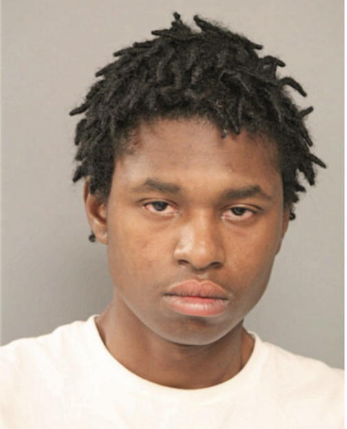 WILL L STRIBLING, Cook County, Illinois