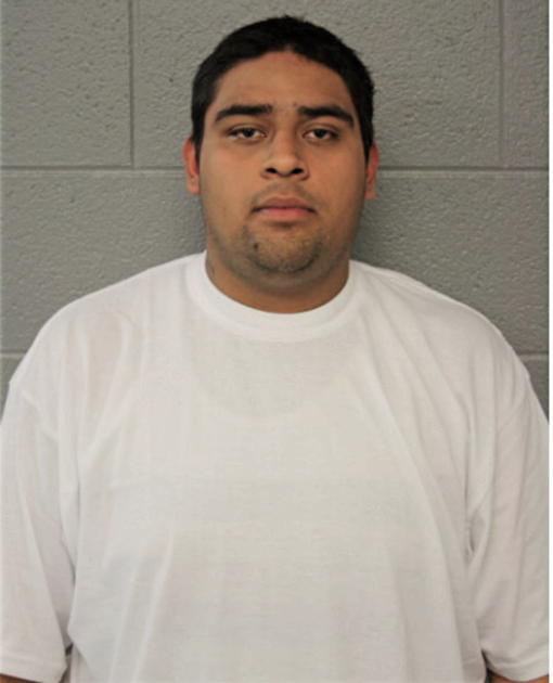 IRVING VERGARA, Cook County, Illinois