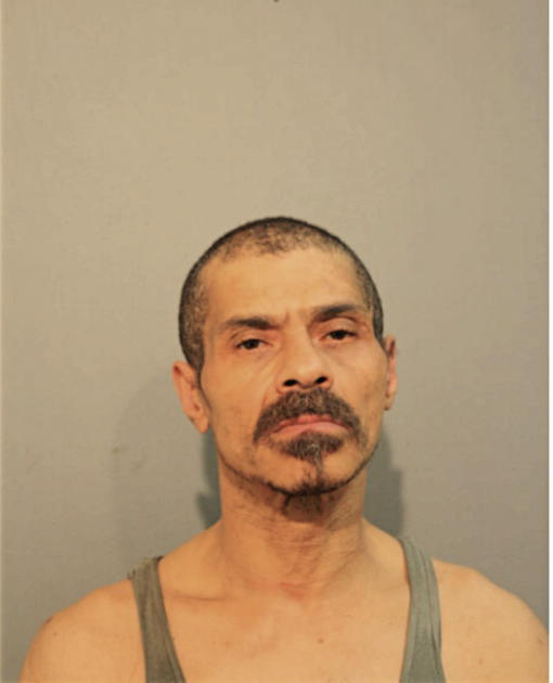 JAMES E WISEMAN, Cook County, Illinois