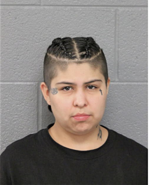 ROSEMARY Y VARGAS, Cook County, Illinois