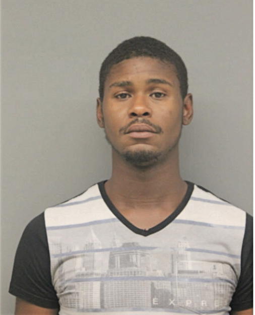 BRANDON E ANDERSON, Cook County, Illinois
