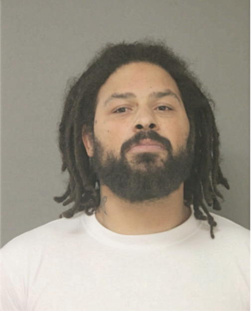 F LAURENCE ANDERSON, Cook County, Illinois