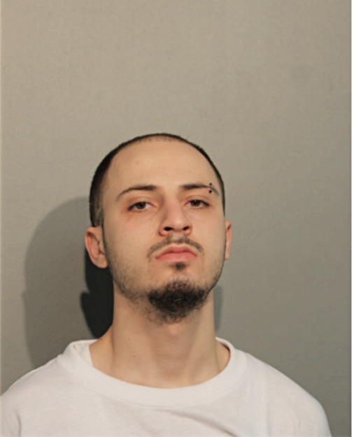 DANI S ASMARO, Cook County, Illinois