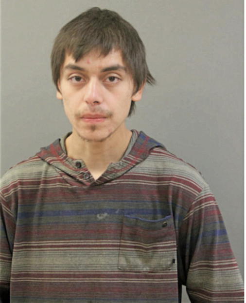 GUSTAVO A AVITIA, Cook County, Illinois