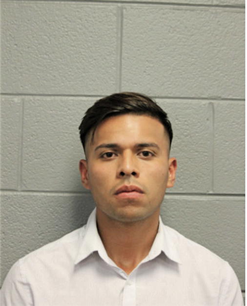MISAEL AYALA, Cook County, Illinois