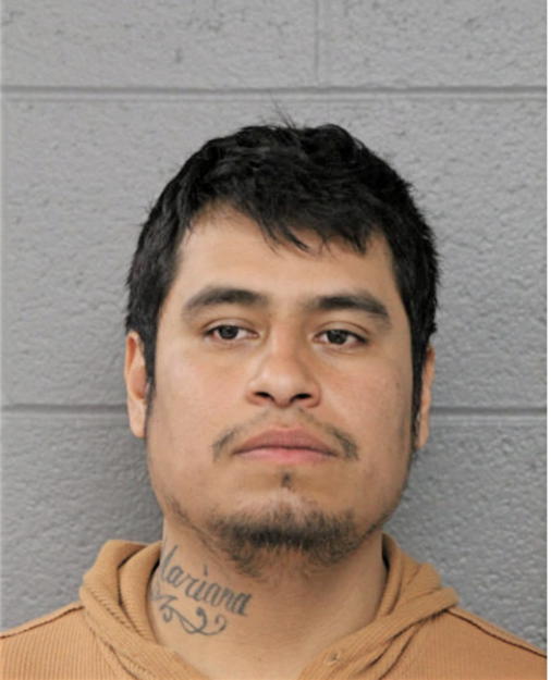 MARIO BAUTISTA, Cook County, Illinois