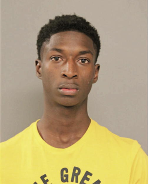 LARRY S DUNN, Cook County, Illinois